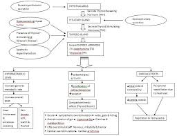 Flow Chart Hyperthyroidism Thyroid Treatment Thyroid