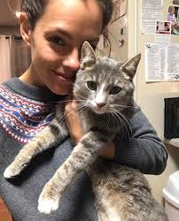 Lost cat in Hebron Estates Shepherdsville