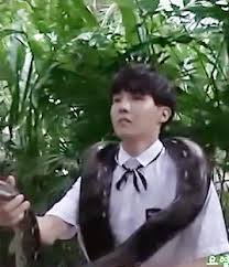 By ailsa harvey , jeanna bryner 31 august 2021 an encounter with one of these reptiles could cost you your life. Loona Rules The World Bts Reaction To You Having Exotic Pets