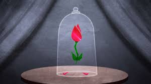 We did not find results for: El Cuento De La Rosa La Bella Y La Bestia Youtube