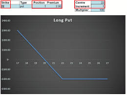 Put Option Profit Calculator