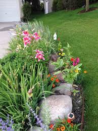 A Random Garden Filled With Favorites Garden Plants Tulips