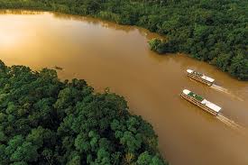 Resultado de imagen para que es la amazonia aqui en ecuador