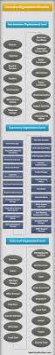 Company Organization Hierarchy Organization Hierarchy Company