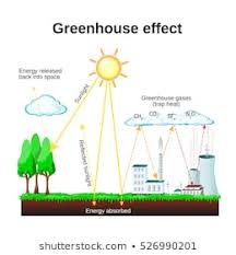 Greenhouse Effect Images Stock Photos Vectors Shutterstock