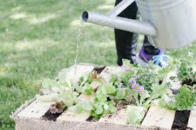 Have you thought about … Bastelideen Archives Garten Fraulein Der Garten Blog