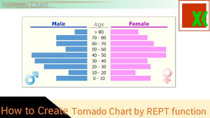 Tornado Chart By Rept Function How To Create