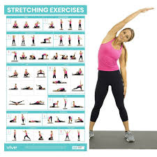Image result for Stretching Program