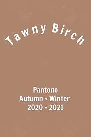 Pantone Tawny Birch In 2020 Kleuren