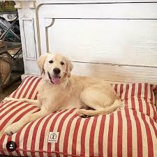 Black And White Striped Dog Bed Harry Barker Vintage Stripe Dog Bed Dog Bed Stripe Dog Bed Dog Bed Inserts