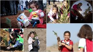 Kurak bölgelerde, ormanlarda rastlamak mümkündür. 81 Ilde 11 Milyon Fidan Toprakla Bulustu