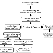 Flow Chart For Incorporating Genomics Care In Eye Diseases