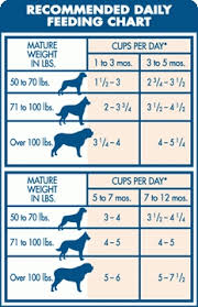 german shepherd food chart german shepherd growth chart