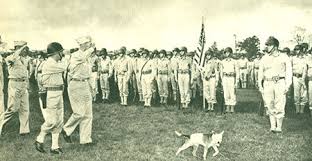 Image result for Man In Blue, Marines In Best Suit, Uncle Sam, thanks so much, G. I. Jose, military past and present. Round Worlds: Heaven notes, worlds to see, shapes and six stars, days under the sky.