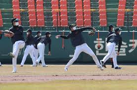 Request an appointment using our secure online form. In Korea Watching Tiger King And Training For Baseball Alone The New York Times