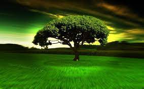 New Free Download 40 Cool Wallpapers 2013 Full Hd1080p Free Download Wallpaper Cool Download Free Full Abraham Hicks Videos Abraham Hicks Love Wallpaper
