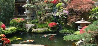 Japanese Koi Pond Garden Design Small Water Gardens Koi Pond Pond Design