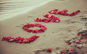 We did not find results for: ØµØ¨Ø§Ø­ Ø§Ø­Ù„Ù‰ Ù…Ù† Ø§Ù„Ø³ÙƒØ± Cute Love Wallpapers Love Wallpaper Love Flowers