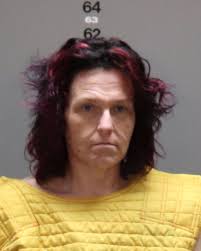 Weekly Arrests for October 25th- October 31st 2024