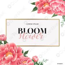 Targa con rose e peonie bianche e foglie color fango. Peonia Fiori Acquarello Cornice Bella Arredamento Carta Di Nozze Invito Vettore Stock Crushpixel