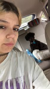 Knoxville Area Lost & Found Pet Site