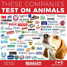 Cruelty Free And Vegan Beauty Guide All You Need To Know