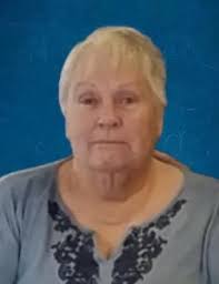 Carol J. Taber Obituary (2024)