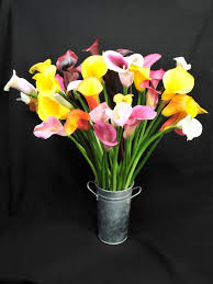 The zantedeschia elliottiana, or golden calla, sprouts deep yellow flowers, while the zantedeschia rehmannii — known as the pink calla or pink arum — has lavender, red or violet flowers. Calla Lily Varieties Hgtv
