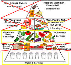 Raw Vegan Food Pyramid Chart Andi Healthy