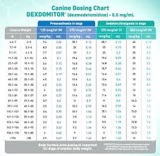 carprofen dosage chart canine rimadyl injectable dosing