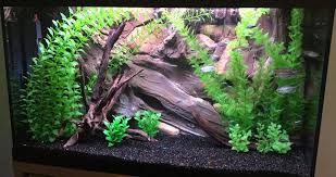 Small Fish Tank Decoration Idea With 3d Background Design Amazon Plus Some Plastic Plants Aquarium Backgrounds Aquarium Decorations Fish Tank Decorations