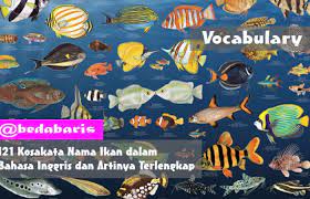 Ikan berbentuk aneh ini juga memiliki sebutan yang aneh dalam bahasa inggris, yaitu clown knifefish. Kosakata Nama Ikan Dalam Bahasa Inggris Dan Artinya Terlengkap