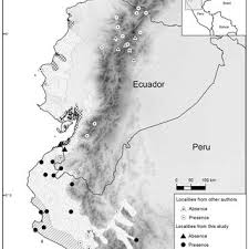 Colo colo (english name colocolo, pampas cat) is a small native to south america midwest, is a wild cat of vertical stripes pattern. Pampas Cat Leopardus Colocolo In San Pedro De Vice Mangrove Peru Download Scientific Diagram