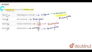 Small single cell less than micrometer 3.do not have a nucleus 4. The Eukaryotic Cells Have All Of The Following Except Biology Q A Doubtnut