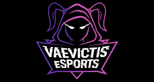 ✓ free for commercial use ✓ high quality images. Vaevictis Esports All Female Lol Team Was Officially Eliminated From The Professional Tournament Not A Gamer