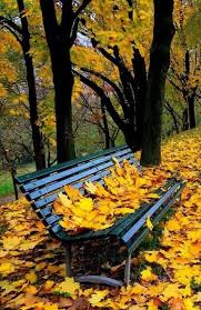Pin By Mia Ferrari On Osen Autumn Scenery Autumn Landscape Fall Pictures