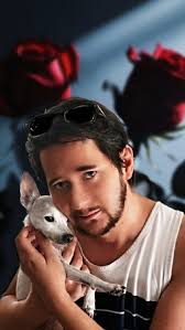 Greyhounds enjoying puppuccinos at Starbucks