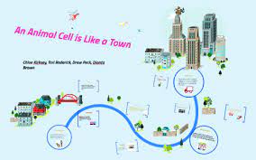 Animal cell is like a city. An Animal Cell Is Like A Town By Tori Roderick On Prezi Next