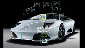 We did not find results for: Cell To Car Analogy By Li Avi