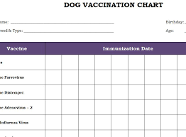 dog vaccination chart template haven