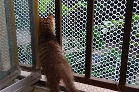 kedi koruma filesi antalya file