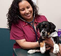 Santa fe veterinary clinic dr. Dr Trujillo Returns To Gruda Veterinary Hospital In Santa Fe New Mexico Gruda Veterinary Hospital