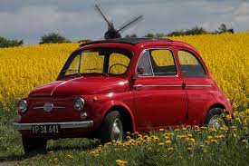 Fiat 500 1964 With Uldum Mill Denmark In The Background Fiat 500 Fiat Olds