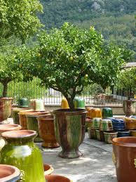 Ein Edler Terracotta Topf Aus Sudfrankreich Meine Orangerie Kleiner Hof Garten Mediterraner Garten Topf Und Kubelpflanzen