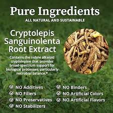 Image result for Cryptolepis products