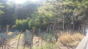 Whether you're planning to stay for a night or for the week, the area around los otates has. Wikiloc Picture Of Los Otates 1 1