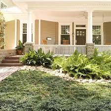 They look ancient and simple. Easy No Mow Lawns Southern Living