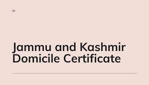 Be it the central or state government, on presenting the right valid proof for the benefit of the citizens for their area, they. Income Certificate Format Jk How To Apply Online Domicile Certificate In Jammu And Kashmir E Application Cum Issuance Of Online Domicile Certificate In J K Ut Launched Bethroberson Jonah