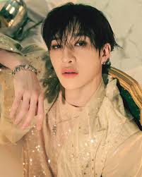 Hollow』Stray Kids JAPAN 3rd Mini Album! Main Solo Images 🌿 . . ⚜️🐺