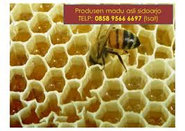 Proses pemerasan madu alami asli yendry fishing. Telp 0858 9566 6697 Isat Madu Lebah Asli Sidoarjo Madu Lebah Asl